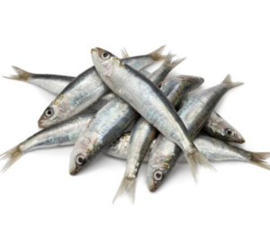 SARDINES ( DAGAA)